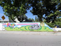 Focus Murals